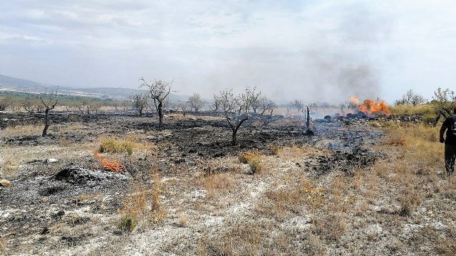 Incendio agrícola en el paraje de Las Pedroñetas en Moratalla