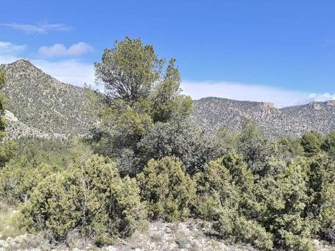 Medio Ambiente inicia este otoño trabajos de mejora de los hábitats forestales y refuerzo de las especies protegidas en Moratalla