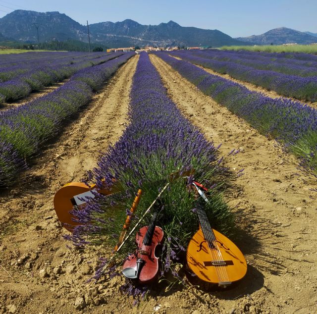 Moratalla lleva a FITUR 2026 la esencia de su lavanda y sus aromáticas como eje de un calendario de experiencias únicas
