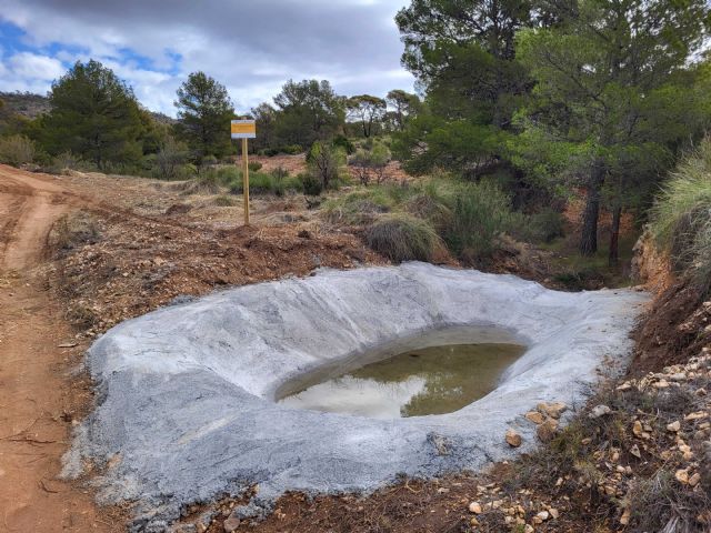 La Comunidad impulsa la conservación de la fauna protegida en Jumilla, Lorca y Moratalla