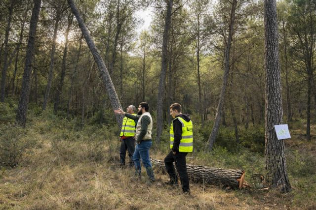 Life Token CO2 arranca en Moratalla y amplía su despliegue forestal en el sureste peninsular