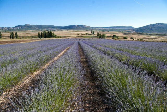 Moratalla acogerá el II Congreso de Turismo Rural de la Región de Murcia el próximo 7 de noviembre