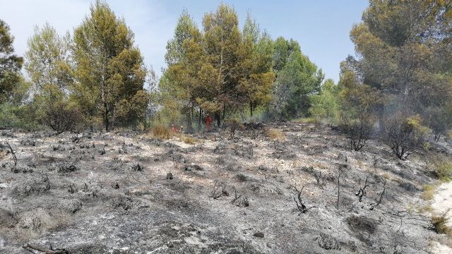 Apagan un conato de incendio forestal en el paraje Puente Hellín de Moratalla