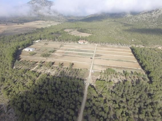 Agricultura finaliza las mejoras de los sistemas forestales del monte público ´El Bebedor´ en Moratalla